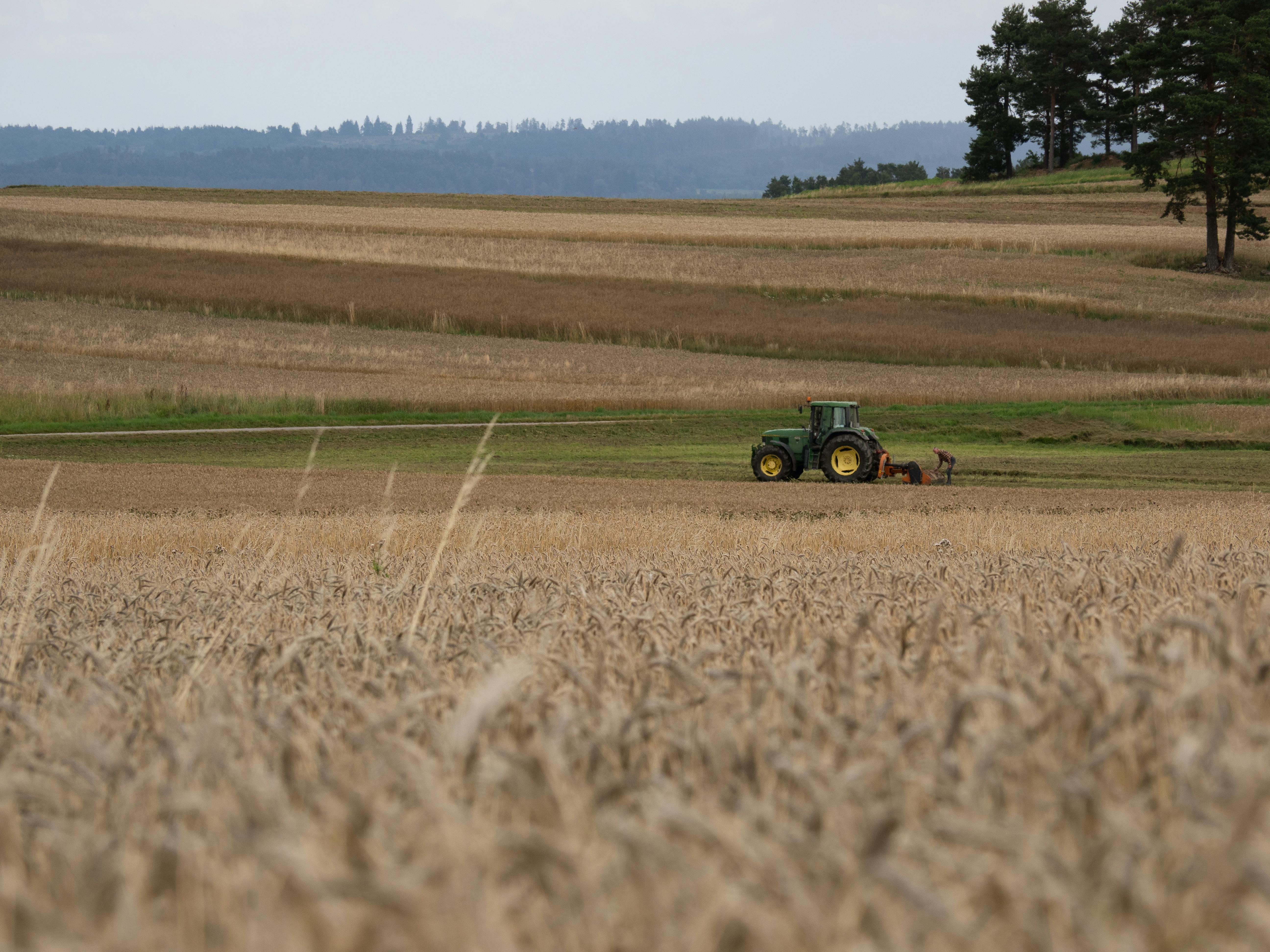 Consultation Services